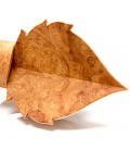 Bow ties in wood - The Leaf