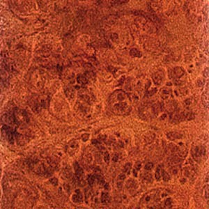 Amboine rouge (loupe)